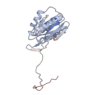 30824_7dr6_1_v1-2
PA28alpha-beta in complex with immunoproteasome