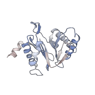 30824_7dr6_2_v1-2
PA28alpha-beta in complex with immunoproteasome