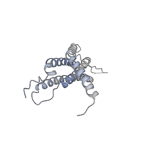 30824_7dr6_A_v1-1
PA28alpha-beta in complex with immunoproteasome