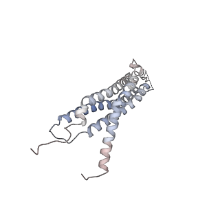 30824_7dr6_B_v1-1
PA28alpha-beta in complex with immunoproteasome