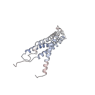 30824_7dr6_B_v1-2
PA28alpha-beta in complex with immunoproteasome