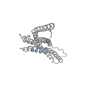 30824_7dr6_C_v1-1
PA28alpha-beta in complex with immunoproteasome