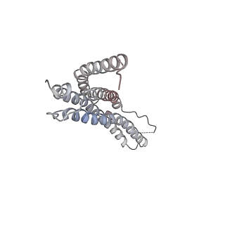 30824_7dr6_C_v1-2
PA28alpha-beta in complex with immunoproteasome