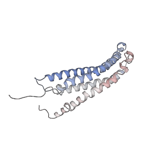 30824_7dr6_D_v1-1
PA28alpha-beta in complex with immunoproteasome