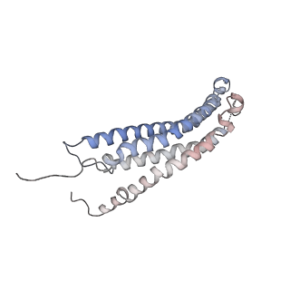 30824_7dr6_D_v1-2
PA28alpha-beta in complex with immunoproteasome