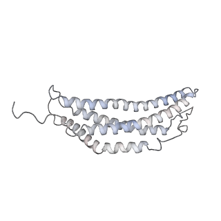 30824_7dr6_E_v1-2
PA28alpha-beta in complex with immunoproteasome