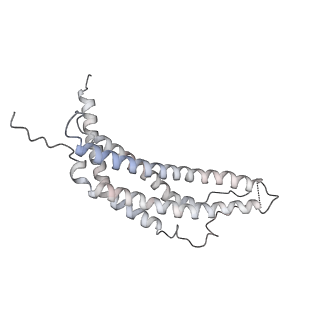 30824_7dr6_F_v1-1
PA28alpha-beta in complex with immunoproteasome