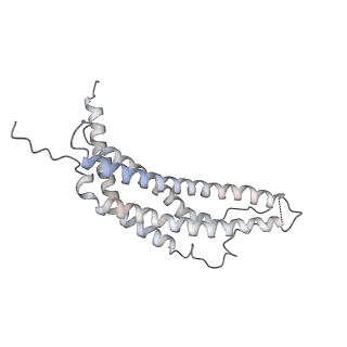 30824_7dr6_F_v1-2
PA28alpha-beta in complex with immunoproteasome