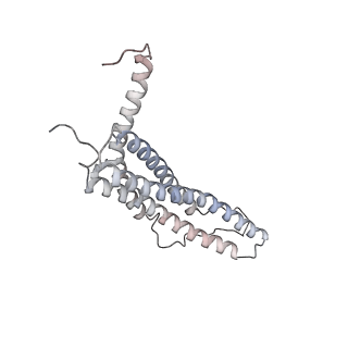 30824_7dr6_G_v1-1
PA28alpha-beta in complex with immunoproteasome