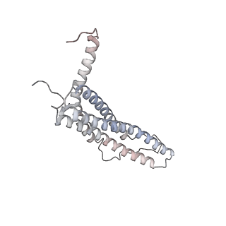 30824_7dr6_G_v1-2
PA28alpha-beta in complex with immunoproteasome