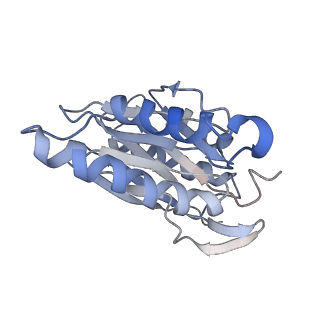 30824_7dr6_H_v1-1
PA28alpha-beta in complex with immunoproteasome