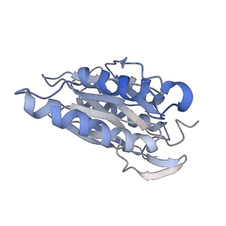 30824_7dr6_H_v1-2
PA28alpha-beta in complex with immunoproteasome