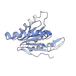 30824_7dr6_I_v1-1
PA28alpha-beta in complex with immunoproteasome