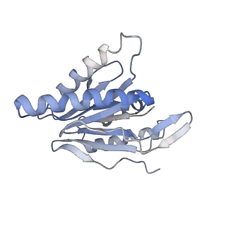 30824_7dr6_I_v1-2
PA28alpha-beta in complex with immunoproteasome