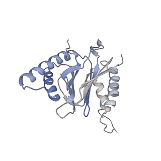 30824_7dr6_J_v1-1
PA28alpha-beta in complex with immunoproteasome