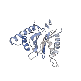 30824_7dr6_J_v1-2
PA28alpha-beta in complex with immunoproteasome