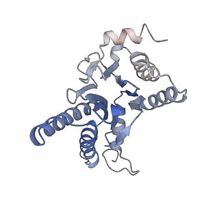 30824_7dr6_L_v1-1
PA28alpha-beta in complex with immunoproteasome