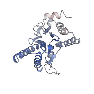 30824_7dr6_L_v1-2
PA28alpha-beta in complex with immunoproteasome