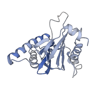 30824_7dr6_M_v1-1
PA28alpha-beta in complex with immunoproteasome
