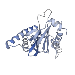 30824_7dr6_M_v1-2
PA28alpha-beta in complex with immunoproteasome