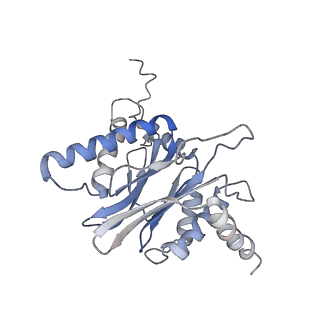 30824_7dr6_N_v1-1
PA28alpha-beta in complex with immunoproteasome