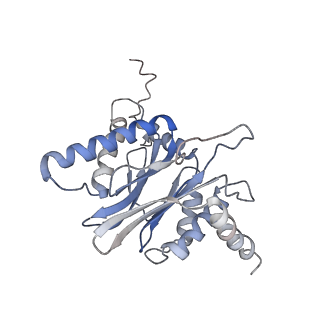 30824_7dr6_N_v1-2
PA28alpha-beta in complex with immunoproteasome