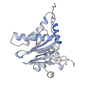30824_7dr6_O_v1-1
PA28alpha-beta in complex with immunoproteasome