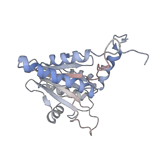 30824_7dr6_P_v1-1
PA28alpha-beta in complex with immunoproteasome