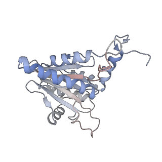 30824_7dr6_P_v1-2
PA28alpha-beta in complex with immunoproteasome