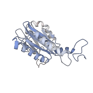 30824_7dr6_Q_v1-1
PA28alpha-beta in complex with immunoproteasome