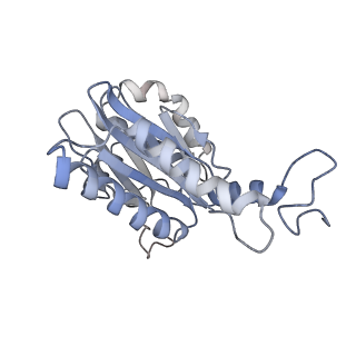 30824_7dr6_Q_v1-2
PA28alpha-beta in complex with immunoproteasome