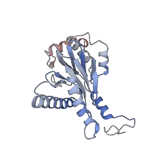 30824_7dr6_R_v1-1
PA28alpha-beta in complex with immunoproteasome