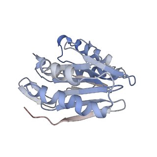 30824_7dr6_S_v1-1
PA28alpha-beta in complex with immunoproteasome