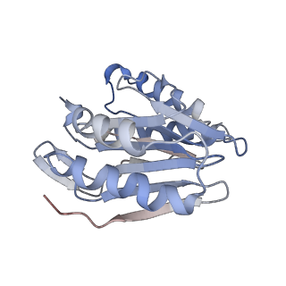 30824_7dr6_S_v1-2
PA28alpha-beta in complex with immunoproteasome