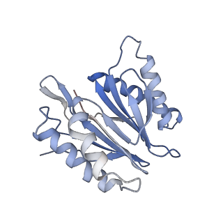 30824_7dr6_T_v1-1
PA28alpha-beta in complex with immunoproteasome