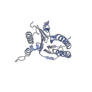 30824_7dr6_U_v1-2
PA28alpha-beta in complex with immunoproteasome