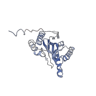 30824_7dr6_V_v1-1
PA28alpha-beta in complex with immunoproteasome