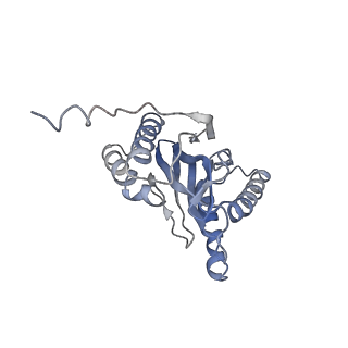 30824_7dr6_V_v1-2
PA28alpha-beta in complex with immunoproteasome