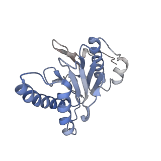 30824_7dr6_W_v1-1
PA28alpha-beta in complex with immunoproteasome