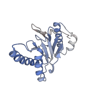 30824_7dr6_W_v1-2
PA28alpha-beta in complex with immunoproteasome