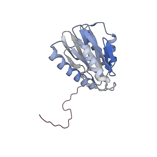 30824_7dr6_X_v1-1
PA28alpha-beta in complex with immunoproteasome