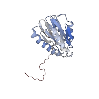 30824_7dr6_X_v1-2
PA28alpha-beta in complex with immunoproteasome