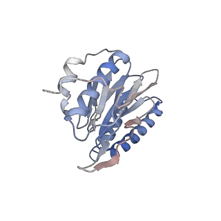 30824_7dr6_Z_v1-1
PA28alpha-beta in complex with immunoproteasome