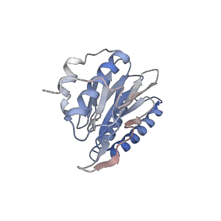 30824_7dr6_Z_v1-2
PA28alpha-beta in complex with immunoproteasome