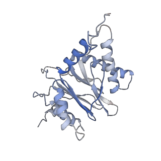 30824_7dr6_a_v1-1
PA28alpha-beta in complex with immunoproteasome