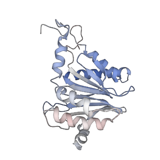 30824_7dr6_b_v1-1
PA28alpha-beta in complex with immunoproteasome