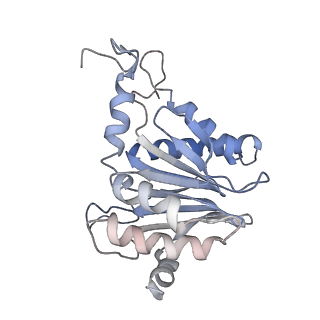 30824_7dr6_b_v1-2
PA28alpha-beta in complex with immunoproteasome