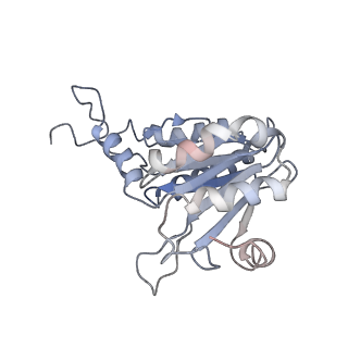 30824_7dr6_c_v1-1
PA28alpha-beta in complex with immunoproteasome