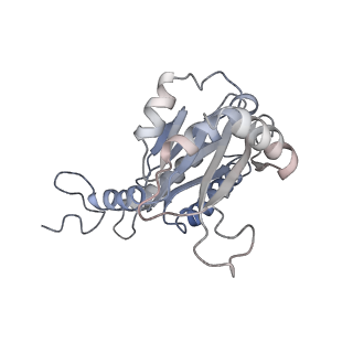30824_7dr6_d_v1-1
PA28alpha-beta in complex with immunoproteasome