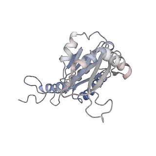 30824_7dr6_d_v1-2
PA28alpha-beta in complex with immunoproteasome